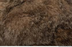 Fur